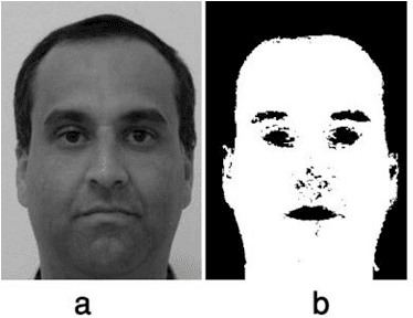 Figure 4 for Novel and Tuneable Method for Skin Detection Based on Hybrid Color Space and Color Statistical Features