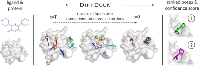 Figure 1 for DiffDock: Diffusion Steps, Twists, and Turns for Molecular Docking