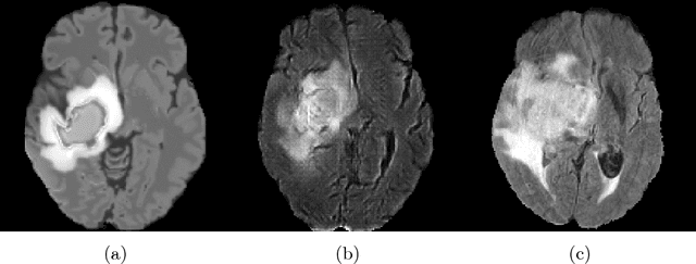 Figure 1 for A Novel Domain Adaptation Framework for Medical Image Segmentation