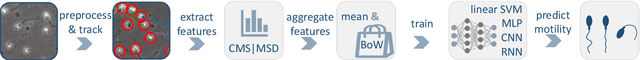 Figure 3 for A Machine Learning Framework for Automatic Prediction of Human Semen Motility
