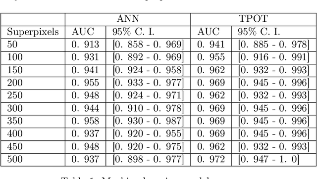Figure 2 for Fast Glioblastoma Detection in Fluid-attenuated inversion recovery (FLAIR) images by Topological Explainable Automatic Machine Learning