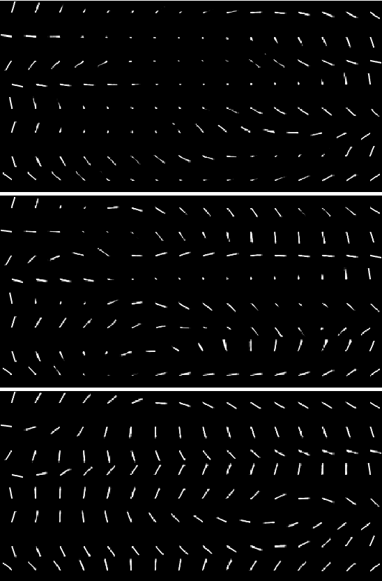 Figure 3 for Particle Filter Bridge Interpolation