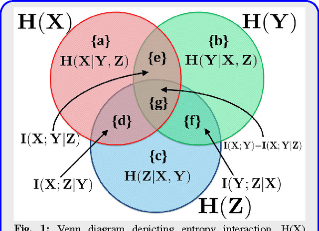 Figure 1 for Efficient Approximate Solutions to Mutual Information Based Global Feature Selection