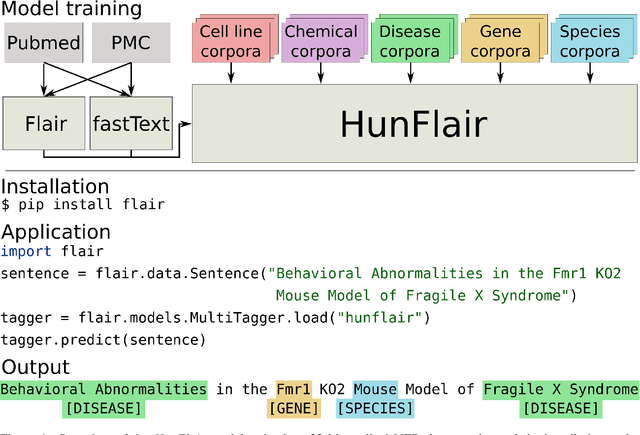 Figure 1 for HunFlair: An Easy-to-Use Tool for State-of-the-Art Biomedical Named Entity Recognition