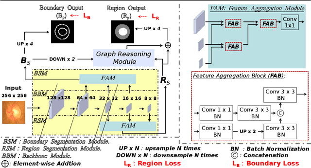 Figure 1 for BI-GCN: Boundary-Aware Input-Dependent Graph Convolution Network for Biomedical Image Segmentation