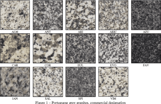 Figure 1 for From Feature Extraction to Classification: A multidisciplinary Approach applied to Portuguese Granites