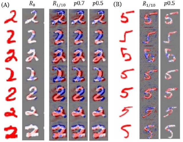 Figure 3 for Generalization on the Enhancement of Layerwise Relevance Interpretability of Deep Neural Network
