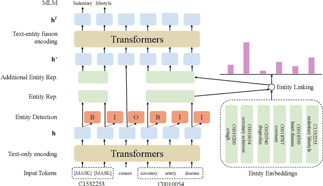 Figure 3 for Improving Biomedical Pretrained Language Models with Knowledge