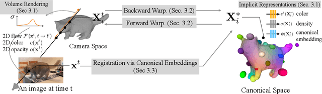 Figure 2 for BANMo: Building Animatable 3D Neural Models from Many Casual Videos
