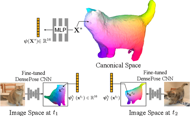 Figure 4 for BANMo: Building Animatable 3D Neural Models from Many Casual Videos