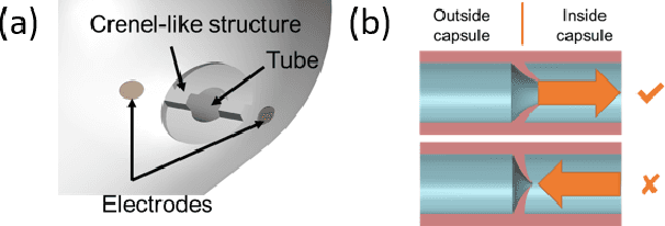 Figure 2 for A Magnetically-Triggered Soft Capsule for On-Demand Mucus Collection