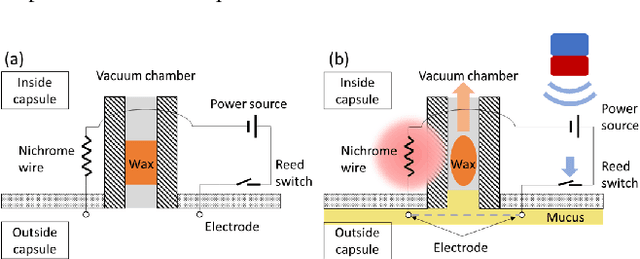 Figure 3 for A Magnetically-Triggered Soft Capsule for On-Demand Mucus Collection