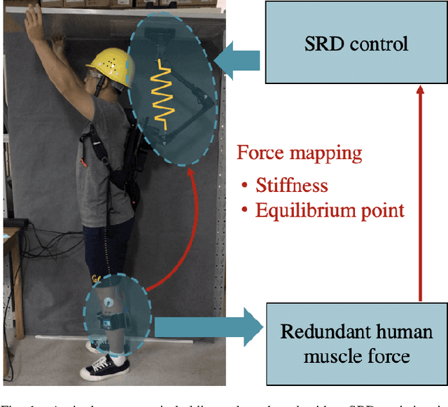 Figure 1 for Mapping Human Muscle Force to Supernumerary Robotics Device for Overhead Task Assistance
