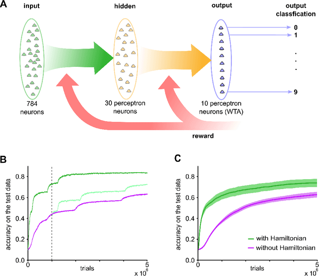 Figure 4 for CaMKII activation supports reward-based neural network optimization through Hamiltonian sampling