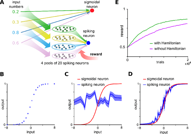 Figure 2 for CaMKII activation supports reward-based neural network optimization through Hamiltonian sampling