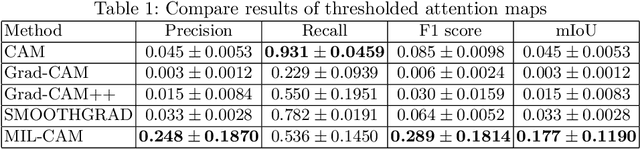 Figure 2 for Weakly Supervised Minirhizotron Image Segmentation with MIL-CAM