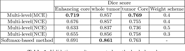 Figure 2 for Hierarchical multi-class segmentation of glioma images using networks with multi-level activation function
