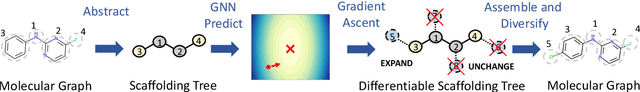 Figure 1 for Differentiable Scaffolding Tree for Molecular Optimization