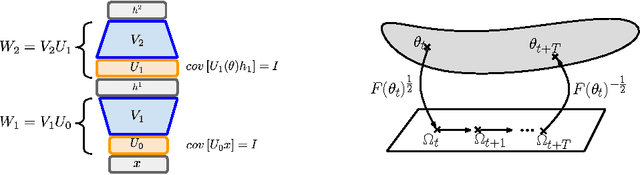 Figure 1 for Natural Neural Networks