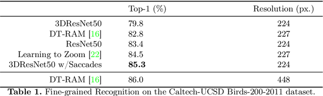 Figure 2 for Beyond the Camera: Neural Networks in World Coordinates