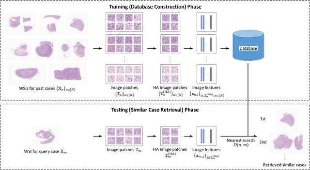 Figure 3 for Case-based similar image retrieval for weakly annotated large histopathological images of malignant lymphoma using deep metric learning