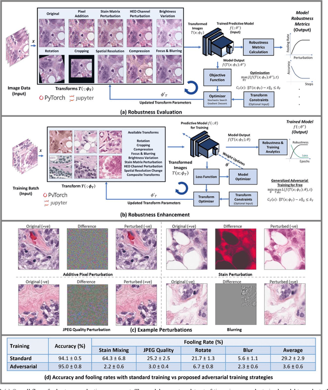 Figure 1 for REET: Robustness Evaluation and Enhancement Toolbox for Computational Pathology