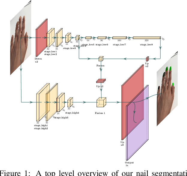 Figure 1 for Nail Polish Try-On: Realtime Semantic Segmentation of Small Objects for Native and Browser Smartphone AR Applications