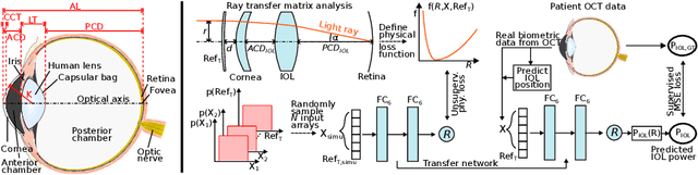 Figure 1 for Domain-specific loss design for unsupervised physical training: A new approach to modeling medical ML solutions