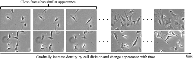 Figure 1 for Semi-supervised Cell Detection in Time-lapse Images Using Temporal Consistency