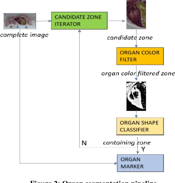 Figure 3 for Automated Mouse Organ Segmentation: A Deep Learning Based Solution