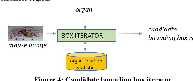 Figure 4 for Automated Mouse Organ Segmentation: A Deep Learning Based Solution