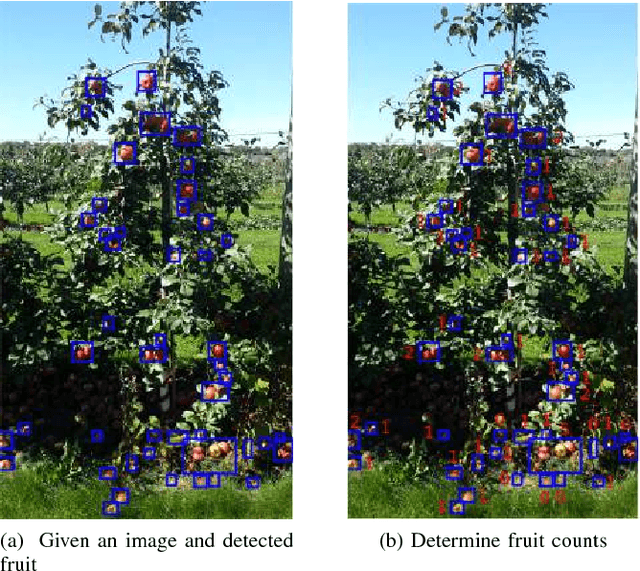 Figure 1 for Apple Counting using Convolutional Neural Networks