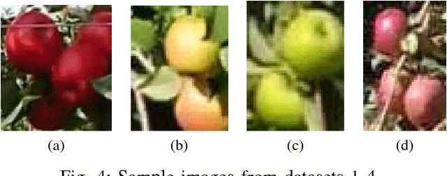 Figure 4 for Apple Counting using Convolutional Neural Networks