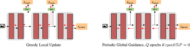 Figure 1 for Locally Supervised Learning with Periodic Global Guidance