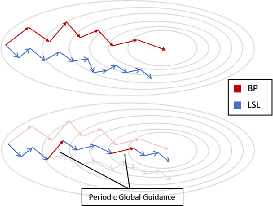 Figure 3 for Locally Supervised Learning with Periodic Global Guidance