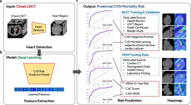 Figure 1 for Deep Learning Predicts Cardiovascular Disease Risks from Lung Cancer Screening Low Dose Computed Tomography