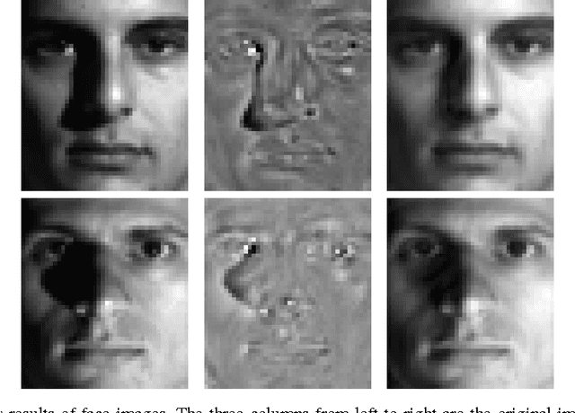 Figure 1 for Robust Subspace Clustering via Smoothed Rank Approximation