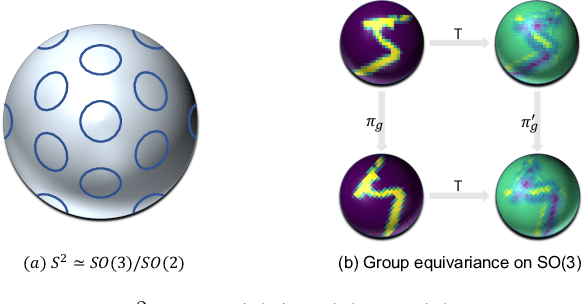 Figure 2 for PDO-e$\text{S}^\text{2}$CNNs: Partial Differential Operator Based Equivariant Spherical CNNs