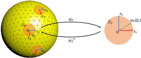 Figure 3 for PDO-e$\text{S}^\text{2}$CNNs: Partial Differential Operator Based Equivariant Spherical CNNs