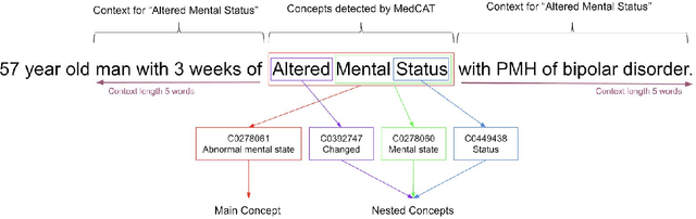 Figure 1 for MedCAT -- Medical Concept Annotation Tool
