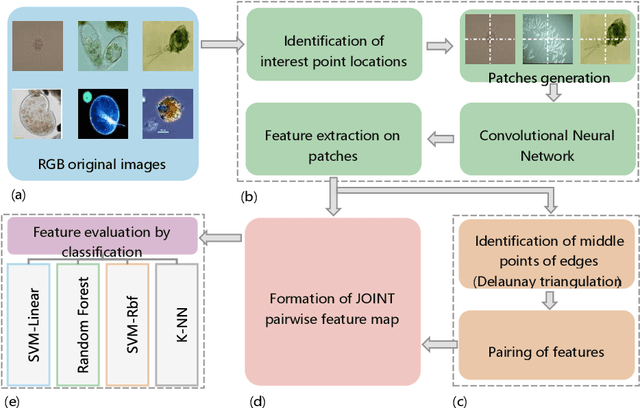 Figure 1 for A New Pairwise Deep Learning Feature For Environmental Microorganism Image Analysis