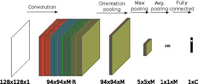 Figure 2 for Learning rotation invariant convolutional filters for texture classification
