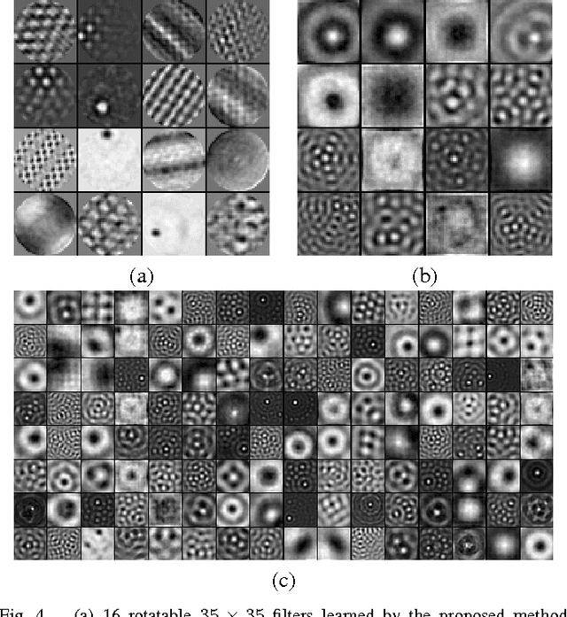 Figure 4 for Learning rotation invariant convolutional filters for texture classification