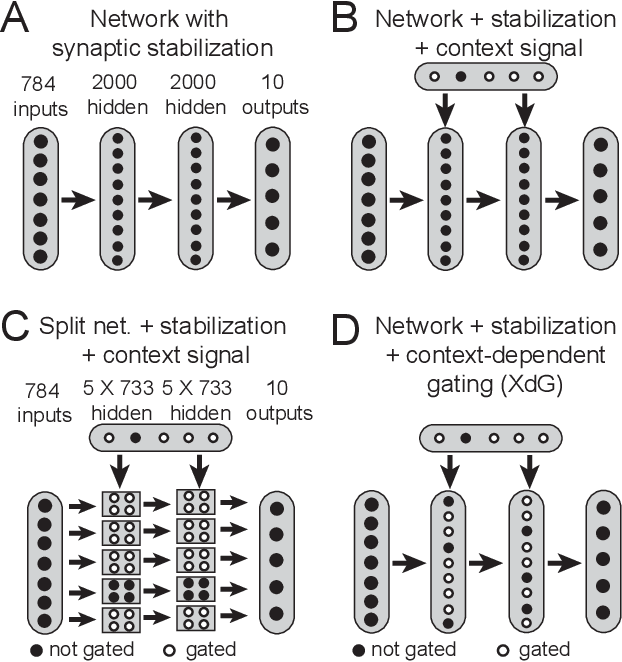 Figure 1 for Alleviating catastrophic forgetting using context-dependent gating and synaptic stabilization