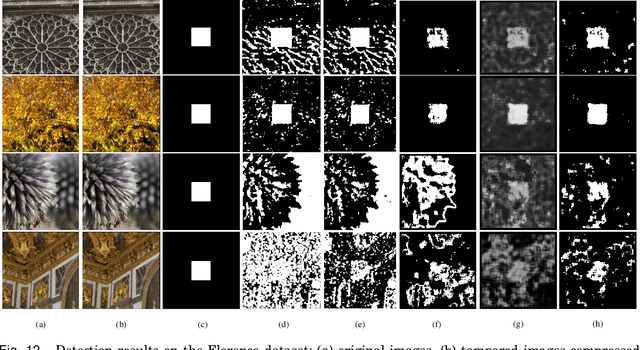 Figure 4 for Deep Multi-scale Discriminative Networks for Double JPEG Compression Forensics