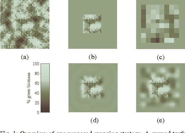 Figure 1 for Multiresolution Mapping and Informative Path Planning for UAV-based Terrain Monitoring