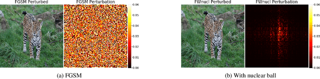 Figure 1 for Trace-Norm Adversarial Examples