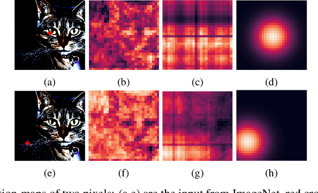 Figure 1 for Explicitly Modeled Attention Maps for Image Classification