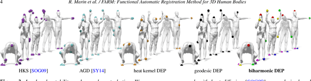 Figure 4 for FARM: Functional Automatic Registration Method for 3D Human Bodies