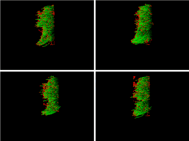 Figure 1 for Pyramidal Fisher Motion for Multiview Gait Recognition